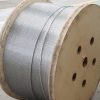 High Carbon Steel Wire and Strand